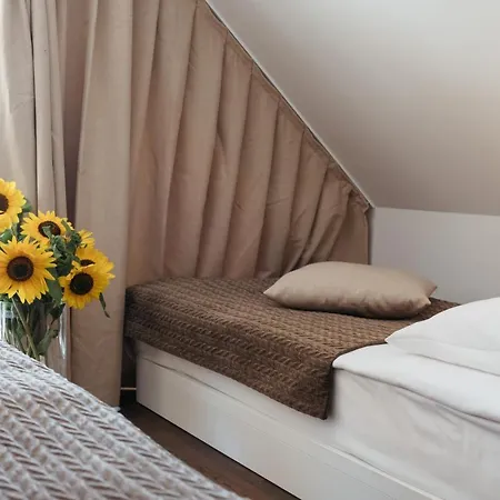 Hotel Ajda Depandance Prekmurska Vas - Terme 3000 - Sava & 4*