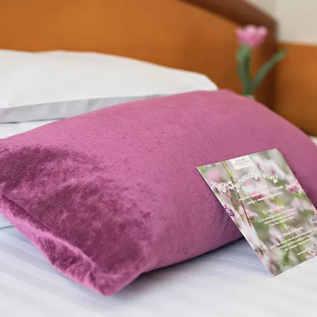 Ajda Depandance Prekmurska Vas - Terme 3000 - Sava & Hotel Moravske Toplice