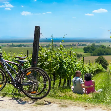 Hotel Ajda Depandance Prekmurska Vas - Terme 3000 - Sava & Moravske Toplice