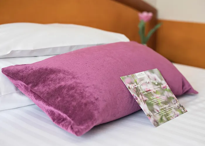 Ajda Depandance Prekmurska Vas - Terme 3000 - Sava & Hotel Moravske-Toplice