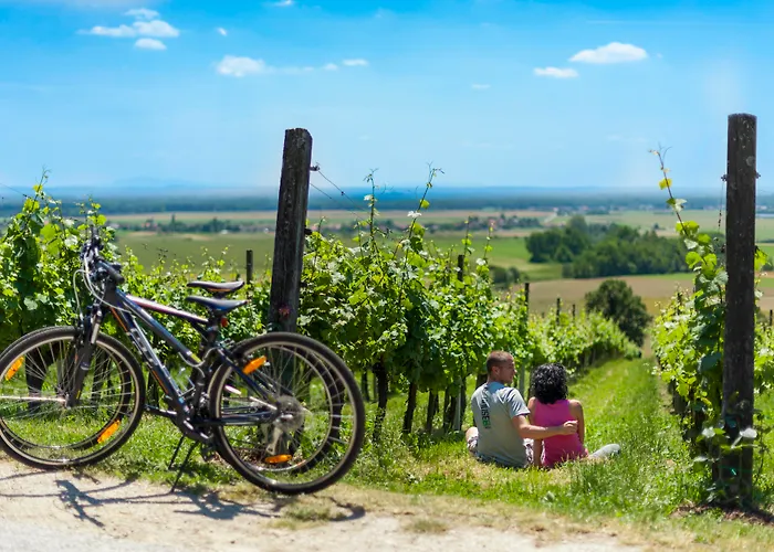 Hotel Ajda Depandance Prekmurska Vas - Terme 3000 - Sava & Moravske Toplice