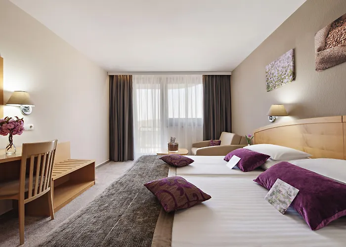 Ajda Depandance Prekmurska Vas - Terme 3000 - Sava & Hotel Moravske Toplice