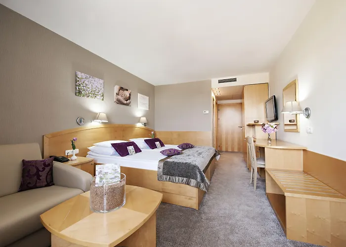 Hotel Ajda Depandance Prekmurska Vas - Terme 3000 - Sava & Moravske Toplice