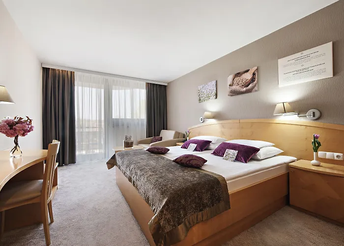 Ajda Depandance Prekmurska Vas - Terme 3000 - Sava & Hotel 4*