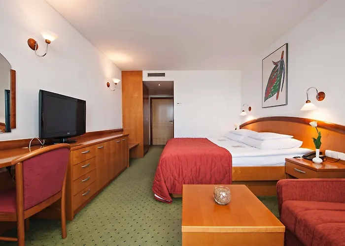 Ajda Depandance Prekmurska Vas - Terme 3000 - Sava &